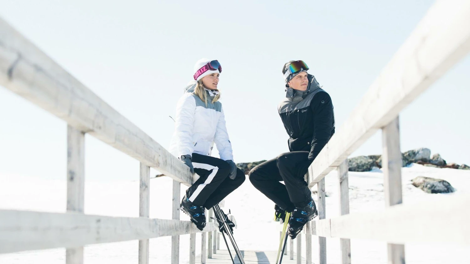 Halti Global Sales Shop 9 Halti Global Sales Shop -Halti Global Sales Shop 1 1